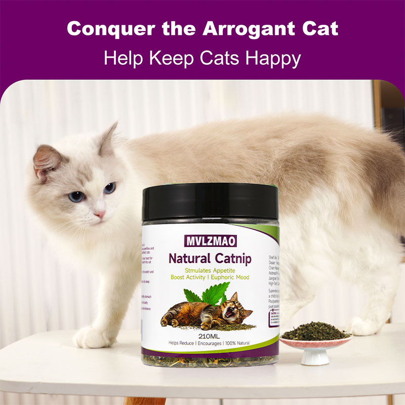 Mainan Kucing – Catnip Silverv - Herbal Wellness Products ulasan dan harga