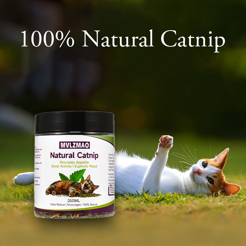 Mainan Kucing – Catnip Silverv - Herbal Wellness Products ulasan dan harga