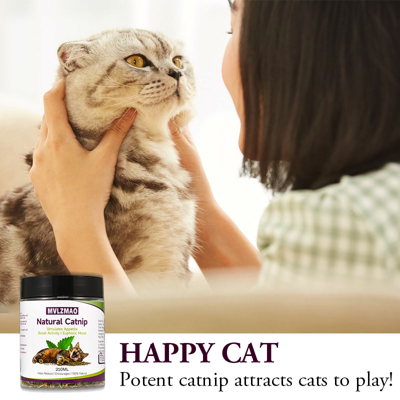Mainan Kucing – Catnip Silverv - Herbal Wellness Products ulasan dan harga